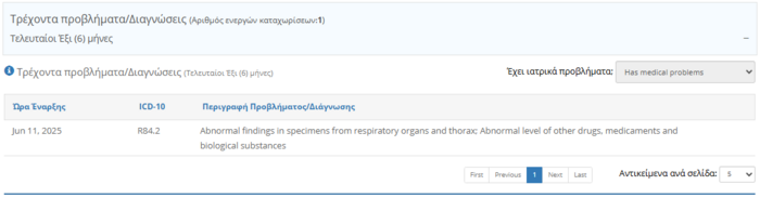 Εικόνα 4.2.7: Πληροφορίες σχετικά με τρέχοντα προβλήματα/Διαγνώσεις.